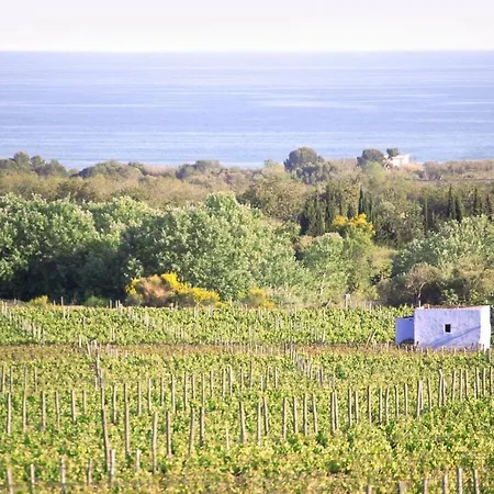 Masia Bartomeu Rural House Between Vineyards 2km From The Hébergement de vacances El Vendrell