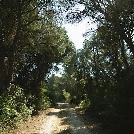 Masia Bartomeu Rural House Between Vineyards 2km From The *