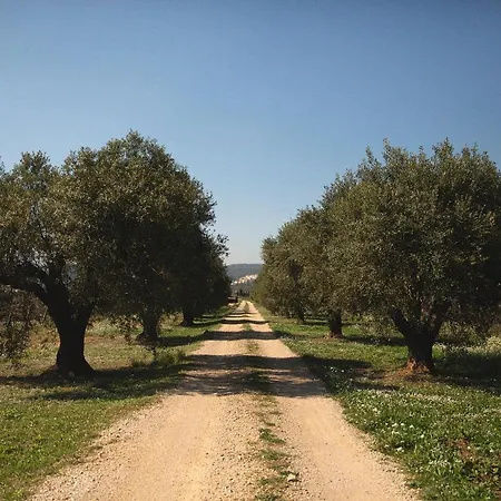 Masia Bartomeu Rural House Between Vineyards 2km From The