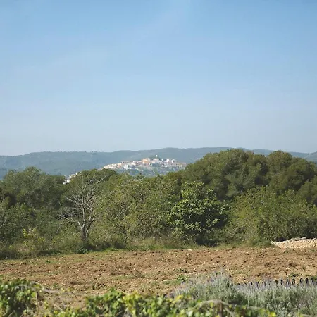 Casa de Férias Masia Bartomeu Rural House Between Vineyards 2km From The El Vendrell
