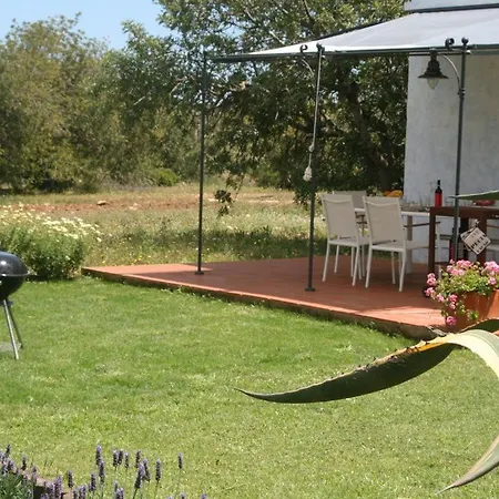 Masia Bartomeu Rural House Between Vineyards 2km From The Holiday home